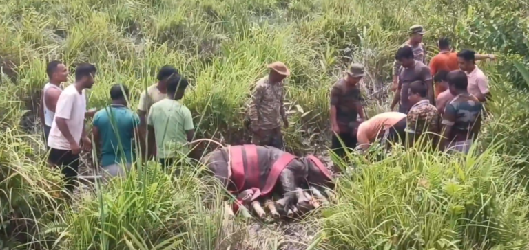 Rhino Rescue वन अधिकारियों ने दलदल में फंसे 700 किलो के गैंडे के बच्चे को बचाया!