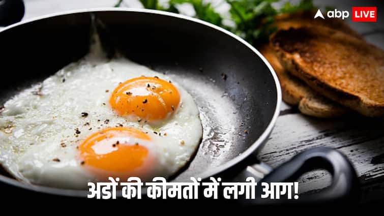 america egg price soar increased due to bird flu know latest price list