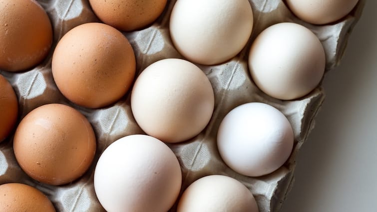 America one lakh eggs stolen in Pennsylvania grocery stores What is connection with bird flu virus