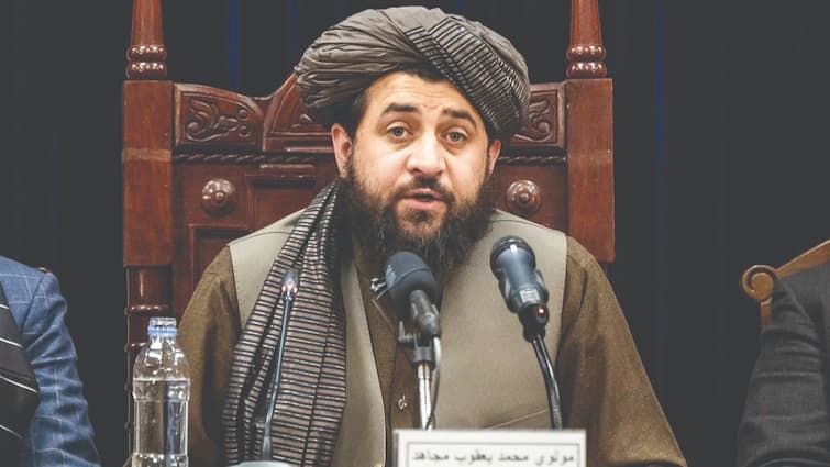 Pakistan hatched this conspiracy against Afghanistan, Taliban revealed