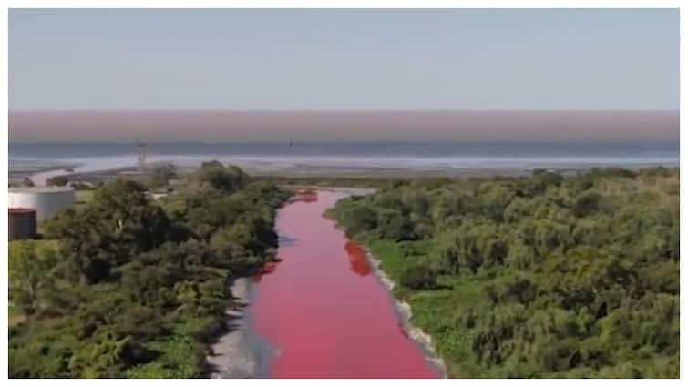 Argentina canal Sarandí canal suddenly turns red know the reason