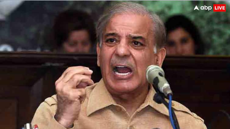 Pakistan prime minister Shehbaz Sharif trolled after speech over india