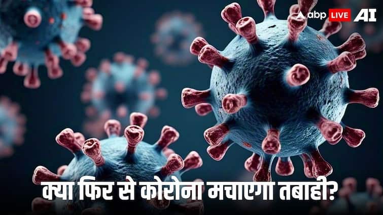chinese experts team discovered new corona virus in bat could be transmitted into human like covid 19