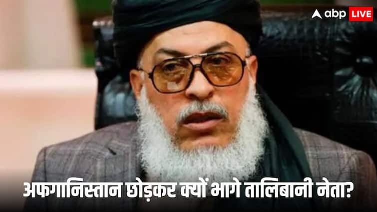 afghanistan taliban minister sher mohammad abbas stanikzai flee to dubai over women education statement afghanistan taliban minister sher mohammad abbas stanikzai flee to dubai over women education statement
