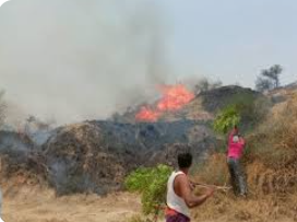 भारत में बढ़ती गर्मी के साथ आग की घटनाएं भी बढ़ीं – यूपी, महाराष्ट्र और एमपी में भीषण आग से बड़ा नुकसान !
